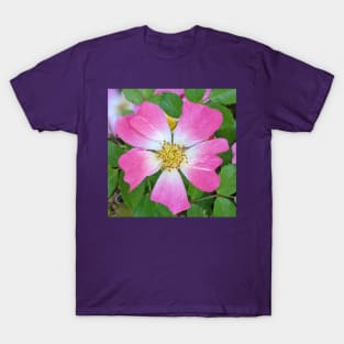 Pink and White Flowers Photographic Image T-Shirt